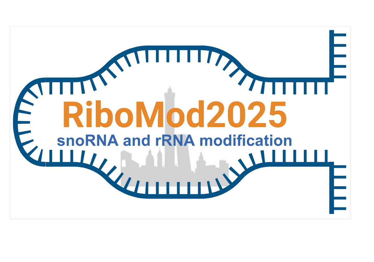 Photo showing snoRNA and rRNA chemical modifications Meeting event